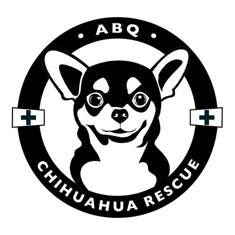 Chihuahua shops rescue group